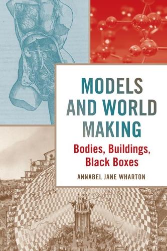 Models and World Making: Bodies, Buildings, Black Boxes.