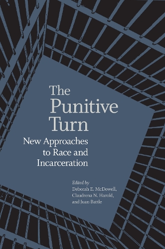 The Punitive Turn: New Approaches to Race and Incarceration.