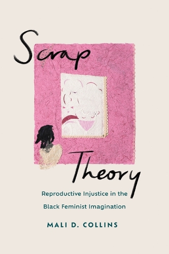 Scrap Theory: Reproductive Injustice in the Black Feminist Imagination.