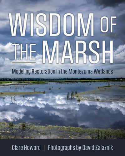 Wisdom of the Marsh: Modeling Restoration in the Montezuma Wetlands.