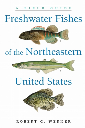Freshwater Fishes of the Northeastern United States: A Field Guide.