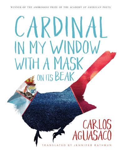 Cardinal in My Window with a Mask on Its Beak.