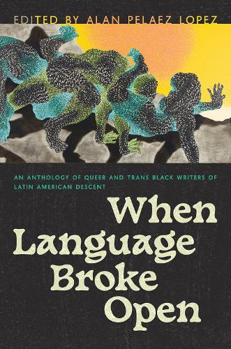 When Language Broke Open: An Anthology of Queer and Trans Black Writers of Latin American Descent.