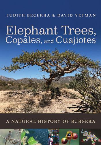 Elephant Trees, Copales, and Cuajiotes: A Natural History of Bursera.