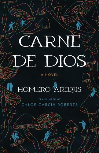 Carne De Dios: A Novel.