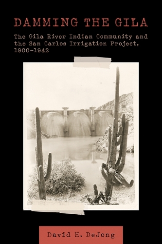 Damming the Gila: The Gila River Indian Community and the San Carlos Irrigation Project, 1900-1942.