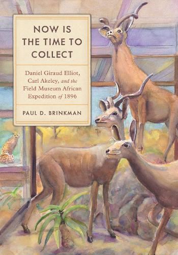 Now Is the Time to Collect: Daniel Giraud Elliot, Carl Akeley, and the Field Museum African Expedition of 1896.