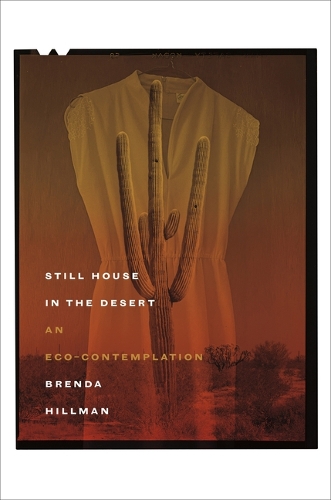 Still House in the Desert: An eco-contemplation.