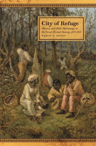 City of Refuge: Slavery and Petit Marronage in the Great Dismal Swamp, 1763-1856.