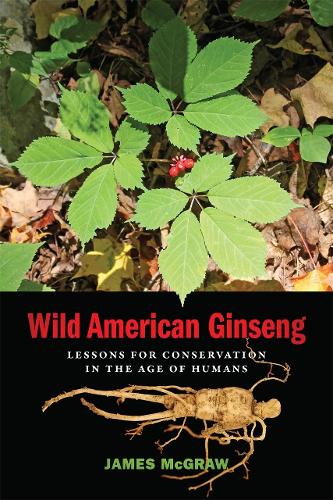 Wild American Ginseng: Lessons for Conservation in the Age of Humans.
