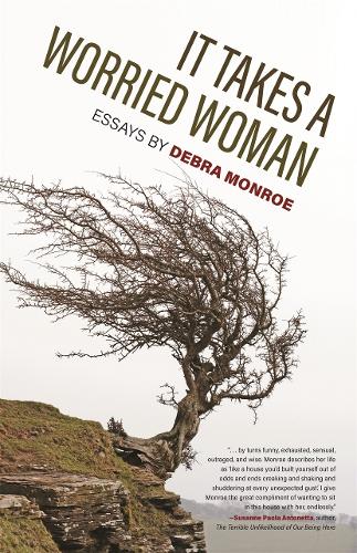It Takes a Worried Woman: Essays.