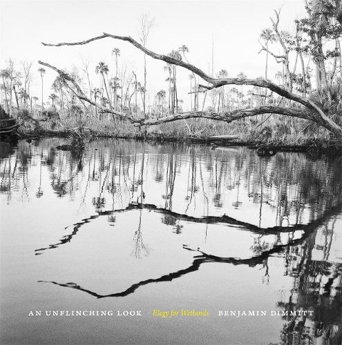 An Unflinching Look: Elegy for Wetlands.