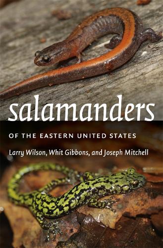 Salamanders of the Eastern United States.