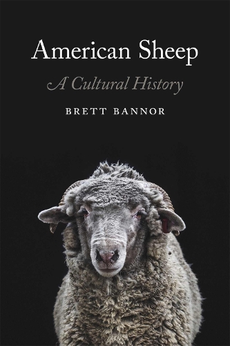 American Sheep: A Cultural History.