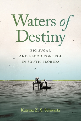 Waters of Destiny