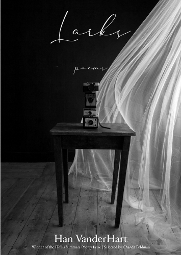 Larks: Poems.