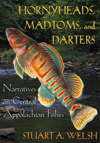 Hornyheads, Madtoms, and Darters: Narratives on Central Appalachian Fishes.