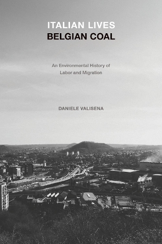 Italian Lives, Belgian Coal: An Environmental History of Labor and Migration.