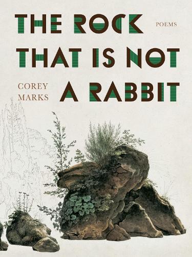 The Rock That is Not a Rabbit: Poems.