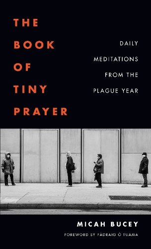 The Book of Tiny Prayer: Daily Meditations from the Plague Year. New edition