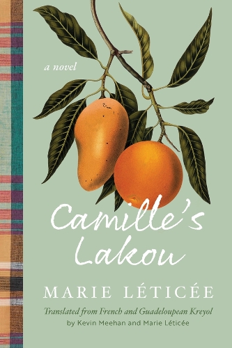 Camille's Lakou: A Novel.