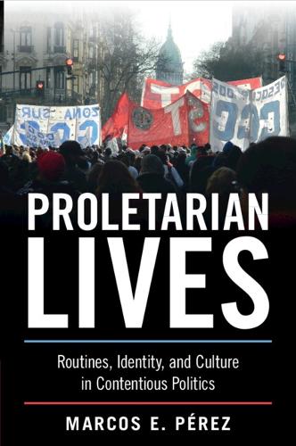 Proletarian Lives: Routines, Identity, and Culture in Contentious Politics.