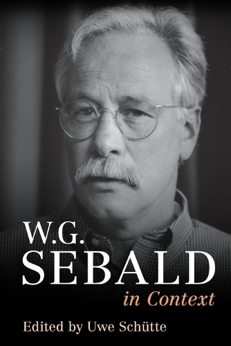 W. G. Sebald in Context.