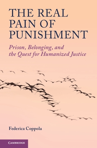 The Real Pain of Punishment