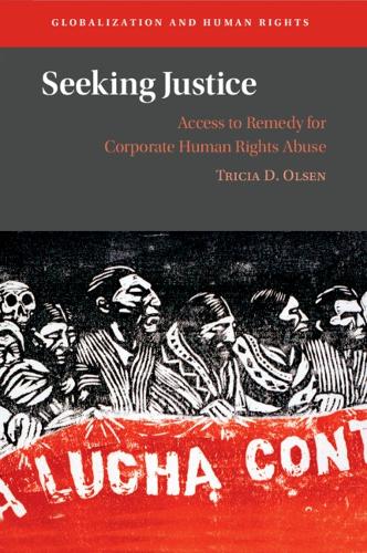 Seeking Justice: Access to Remedy for Corporate Human Rights Abuse.