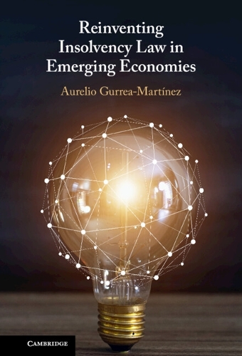 Reinventing Insolvency Law in Emerging Economies.