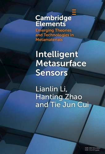 Intelligent Metasurface Sensors.