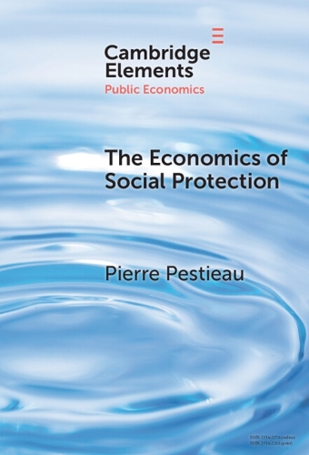 The Economics of Social Protection.