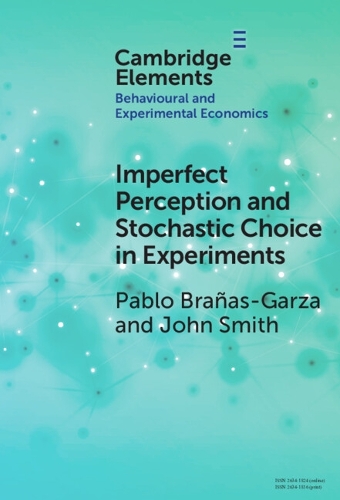 Imperfect Perception and Stochastic Choice in Experiments.