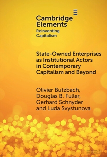 State-Owned Enterprises as Institutional Actors in Contemporary Capitalism and Beyond.