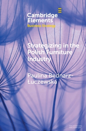 Strategizing in the Polish Furniture Industry.