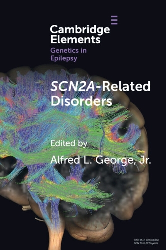 SCN2A-Related Disorders.