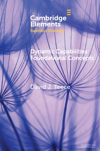 Dynamic Capabilities: Foundational Concepts.