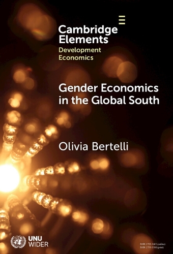 Gender Economics in the Global South.