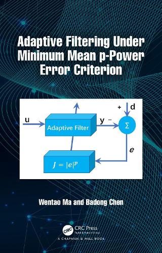 Adaptive Filtering Under Minimum Mean p-Power Error Criterion.