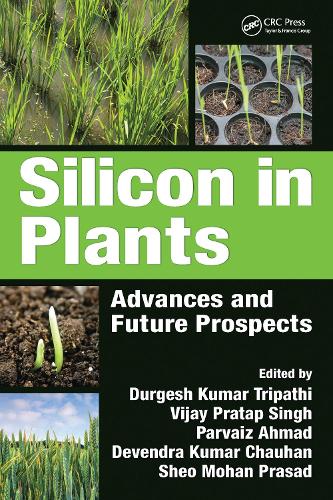 Silicon in Plants: Advances and Future Prospects.