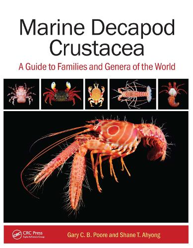 Marine Decapod Crustacea: A Guide to Families and Genera of the World.