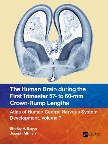 The Human Brain during the First Trimester 57- to 60-mm Crown-Rump Lengths: Atlas of Human Central Nervous System Development, Volume 7.