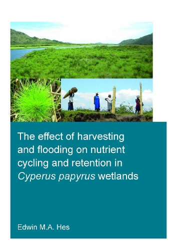 The effect of harvesting and flooding on nutrient cycling and retention in Cyperus papyrus wetlands.