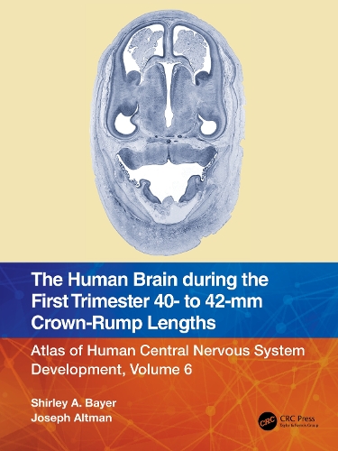 The Human Brain during the First Trimester 40- to 42-mm Crown-Rump Lengths: Atlas of Human Central Nervous System Development, Volume 6.