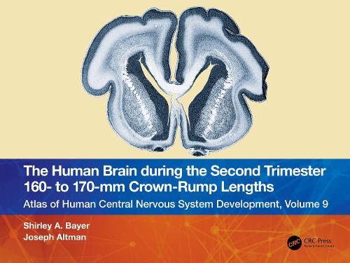 The Human Brain during the Second Trimester 160- to 170-mm Crown-Rump Lengths: Atlas of Human Central Nervous System Development, Volume 9.