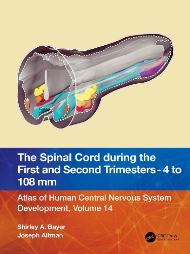 The Spinal Cord during the First and Early Second Trimesters 4- to 108-mm Crown-Rump Lengths: Atlas of Central Nervous System Development, Volume 14