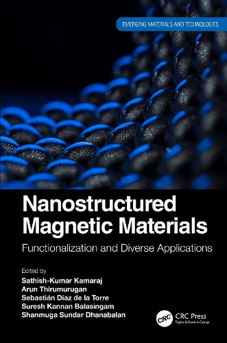 Nanostructured Magnetic Materials: Functionalization and Diverse Applications.
