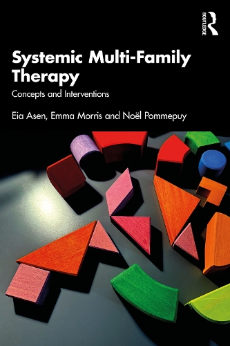 Systemic Multi-Family Therapy: Concepts and Interventions.