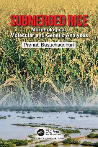 Submerged Rice: Morphological, Molecular and Genetic Analyses.