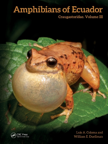 Amphibians of Ecuador: Craugastoridae.